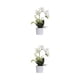 thumbnail image 1 of Injueey Flores artificiales blancas para mascotas, amigables y no tóxicas, de apariencia realista, para amantes, decoración del hogar, amplia BF1912010 (377 g), BF1912010 (377 g) 2Conjunto, 1 of 6