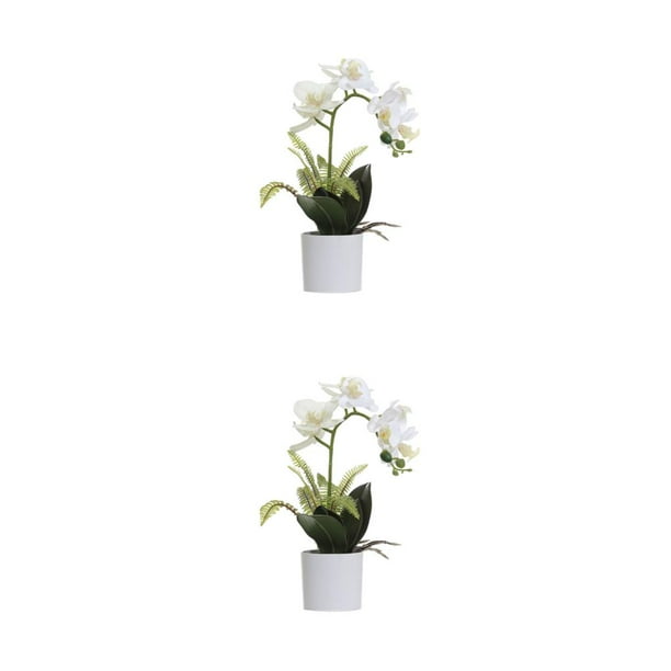 Injueey Flores artificiales blancas para mascotas, amigables y no tóxicas, de apariencia realista, para amantes, decoración del hogar, amplia BF1912010 (377 g), BF1912010 (377 g) 2Conjunto