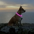 thumbnail image 3 of USB Rechargeable LED Light Up Dog Collars - Glowing Pet Safety Collar Silicone Cuttable Light Up Dog Collar Lights, Safety and Cool Neon Dog Collar for Dog Running and Walking at Night (Pink), 3 of 6