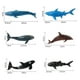 thumbnail image 4 of Modelo de Animal Marino de Plástico CUTICAT Tiburón Ballena Azul 6 piezas, 4 of 8