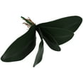 thumbnail image 3 of Rama de orquídea Phalaenopsis con hojas y tallos para decoración del hogar y la oficina (verde), 3 of 5
