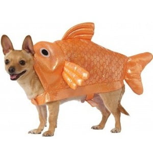 Rubies Goldfish Dog Costume - Medium