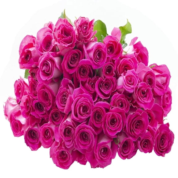 KaBloom :50 Hot Pink Roses, Next-Day Delivery, Gift for Every Occasion.