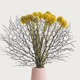 thumbnail image 6 of WHAMVOX  2 Pcs Vase Branch Decorations Decorative Tree Branches Air Sea Black, 6 of 8