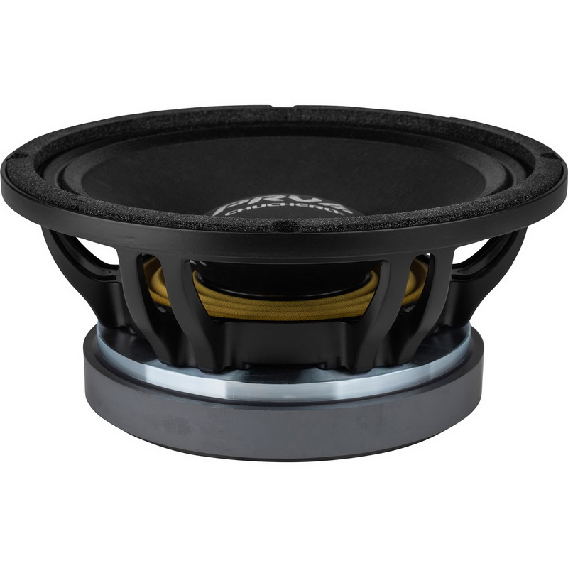 prv 10 inch speaker
