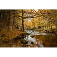 thumbnail image 3 of Murdock, Ramona 18x13 Black Modern Framed Museum Art Print Titled - Black Forest River, 3 of 5