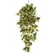 thumbnail image 2 of pstuiky Adorno de pared colgante verde artificial para interiores, flor de plástico verde para colgar en la pared, adorno de pared verde artificial, 2 of 6