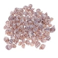 thumbnail image 1 of Aprox. 500 g de conchas marinas para manualidades, decoración de jardín y acuario 2 500g, 1 of 9