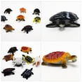 thumbnail image 4 of MasteelfCA 16Pcs Fake Turtle Playthings Turtle Model Toy Educational Marine Animal Toys, 4 of 8