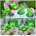 thumbnail image 3 of YSNOOWE 12Ud Decorativa De Rana En Resina Para Y Plantas, 3 of 8