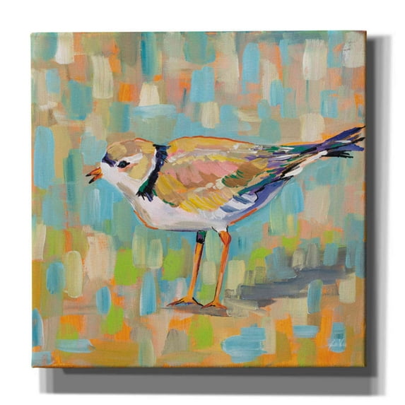 Epic Graffiti 'Coastal Plover IV' by Jeanette Vertentes, Canvas Wall Art, 37"x37"