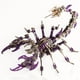 thumbnail image 1 of Kit de maquetas 3D de rompecabezas de metal YUEZUDPO Scorpion para adultos, 1 of 6