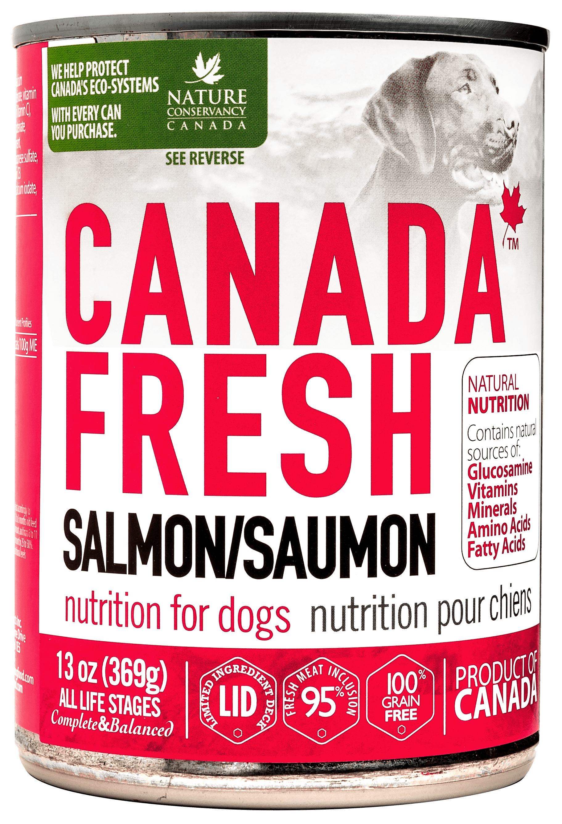 Canada Fresh Salmon Wet Dog Food, 13oz