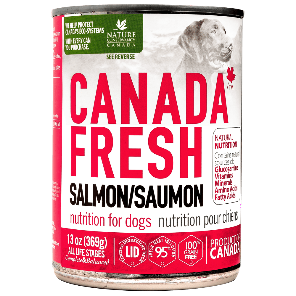Canada Fresh Salmon Wet Dog Food, 13oz