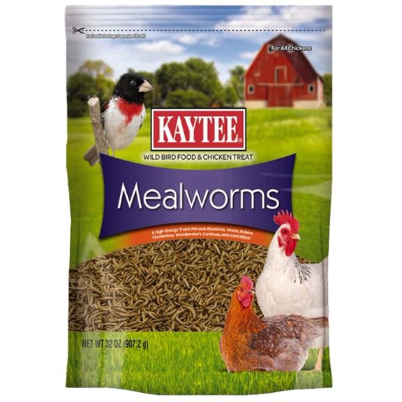 Kaytee Mealworms Wild Bird Food