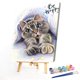 thumbnail image 1 of Cuadros Decorativos Kit de pintura por números DIY Cat Hand Oil Art Picture Craft Home Wall Decor (30x40cm) Wdftyju embutido en tela, 1 of 9