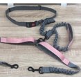 thumbnail image 4 of Laisse pour Chien Mains Libres avec Poche Zippée, Double Poignée Rembourrée et Élastique Durable pour Promenade, Jogging et Course pour Chats et Chiens, 4 of 8
