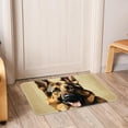thumbnail image 6 of Collie Polyester Non-Slip Machine Washable Floor Rug Indoor Rug - Best Office Mat at Amazon, 6 of 6