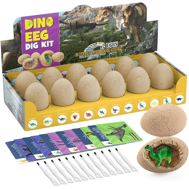 12pcs Dinosaur Egg w/12 Introduction Cards and Dig Tools Educative Dinosaur Excavation Kit Parent-children Interactive Dinosaur Egg Dig Kit for Kids Ages 6+
