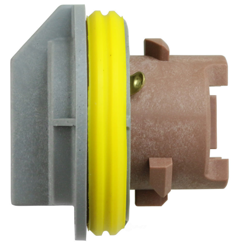 WVE Tail Light Socket
