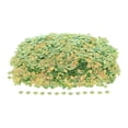 thumbnail image 2 of Rongfmy 100g 6x8mm Shell Loose Sequins Paillettes DIY Scrapbooking for 6, 2 of 7