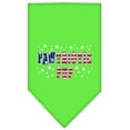 thumbnail image 6 of Pet and Dog Bandana Screen Printed, "Pawtriotic Pup", 6 of 10