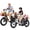 Black+White, variant on ESKUTE T300 & T300mini Electric Tricycles for Adults – 750W & 500W Motors, Fat Tire Folding 3-Wheel E-Bikes, Step-Thru, Blue & Black, UL2849