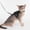 Black, variant on Adjustable Airtag Holder Cat Vest Harness with 1.5M Matching Leash, Escape Proof Reflective Pet Chest Harness for Kittens & Small Cats 3 to 8 Pounds Outdoor Walking
