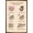 Bronze Framed Version, variant on Pusheen - Thankful Wall Poster with Push Pins, 14.725" x 22.375"