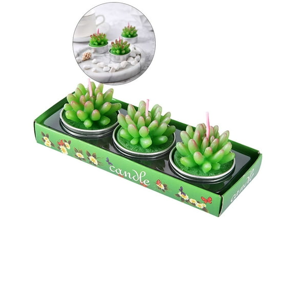 Dvruxg 3 Pcs Succulent Cactus Candles, Smokeless Scented Tealight Candles for Home Décor, SPA, Wedding, Valentine's Day, Birthday Gift, Anniversary Celebration