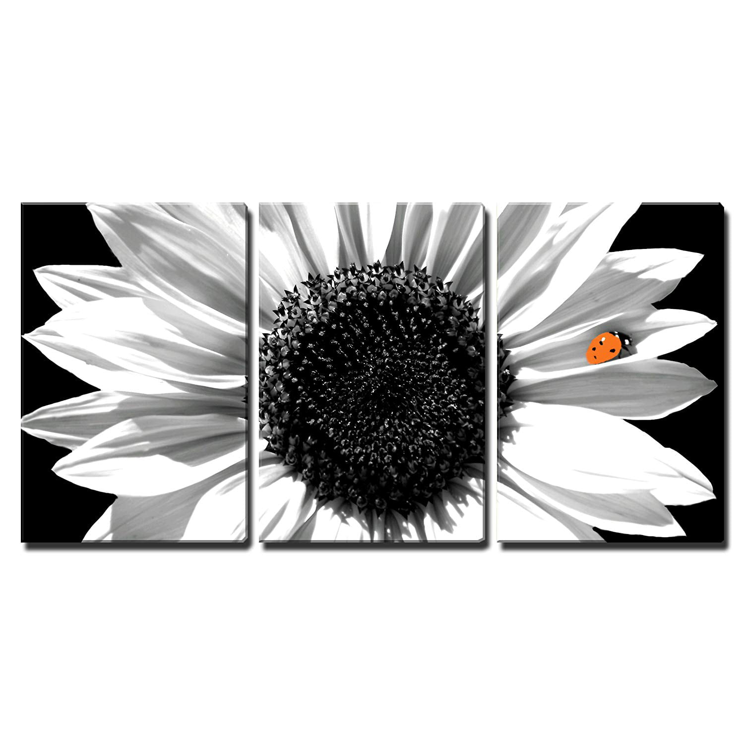 A340 Ladybug Red Sunflower  Funky Animal Canvas Wall Art Large Picture Prints 