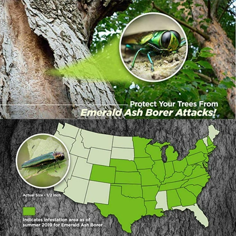 Bioadvanced Tree And Shrub Protect And Feed Fertilizer Oficial Online Bioadvanced tree and shrub protect and feed fertilizer oficial online