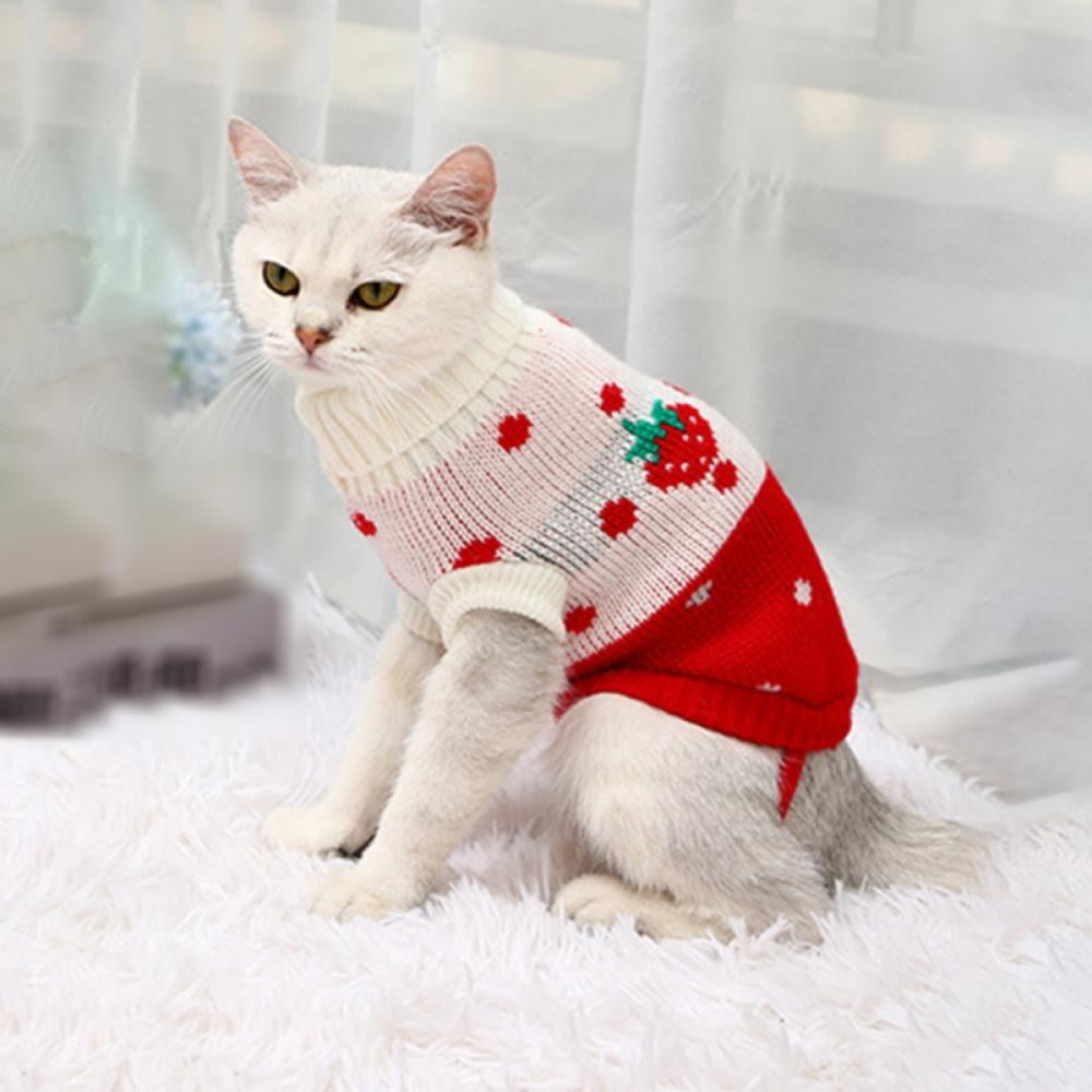 strawberry cat sweater