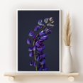 thumbnail image 2 of PixonSign Framed Canvas Print Wall Art Purple Skullcap Close-Up Botanical Plants Photography Realism Farmhouse/Country Colorful Multicolor Ultra for Living Room, Bedroom, Office - 16"x24" White, 2 of 5