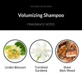 thumbnail image 5 of Keys Mangrove Vegano, todo natural, sin gluten, crema hidratante, acondicionador para el cabello y moldeador sin enjuague con aceite de Brassica para todo tipo de cabello, sin silicona, sin dimeticona, 5 of 5