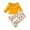 Yellow, variant on Odeerbi Baby Girls Clothes Toddler Outfit Autumn Winter Boys Cotton Crew Neck Long Sleeve 2025 Casual Print Trousers Set Yellow