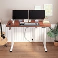 thumbnail image 4 of FunniHomi 60" x 24" Electric Height Adjustable Standing Desk with Hooks, Whole-Piece Desktop Cable Management Tray, and Built-in Power Outlet, Ergonomic Sit-Stand Desk for Home Office(2 Packages), 4 of 11