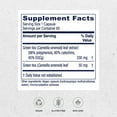 thumbnail image 2 of Vitanica Green Tea Extract Supplement 330mg, 45% EGCG, 98% Polyphenols and 80% Catechins, Weight Management Energy Metabolism & Thermogenesis Support, Antioxidant and Immune Support Vegan,60 Count, 2 of 7
