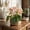Pink-Free Size/PK, variant on ZHMRFG Home Decor,5.51In Artificial Easter Flower Pot Bright Floral Hues Green Leaf Mood Uplifting Positive Wishes,Festive Decor for Living Room Bedroom Office Home Spring Summer Festive Daily Decors