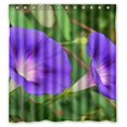 thumbnail image 1 of ABPHQTO Corlorful Flowers Morning Glory White Pink Pictures Cortina de ducha Cortina de ducha impermeable 150x180 cm, 1 of 2