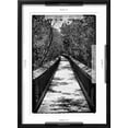thumbnail image 5 of Art.com Wooden Path in the middle of a Forest in Florida Photographic Print by Philippe Hugonnard, Black Frame Wall Art, 17" x 23", 5 of 5