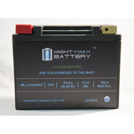 LiFePO4 12V 24-35ah Battery for RV - Walmart.com