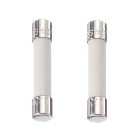 Scaroo WP4375321 Microwave Fuse Fit For Whirlpool Replaces With 4375321 2-PACK