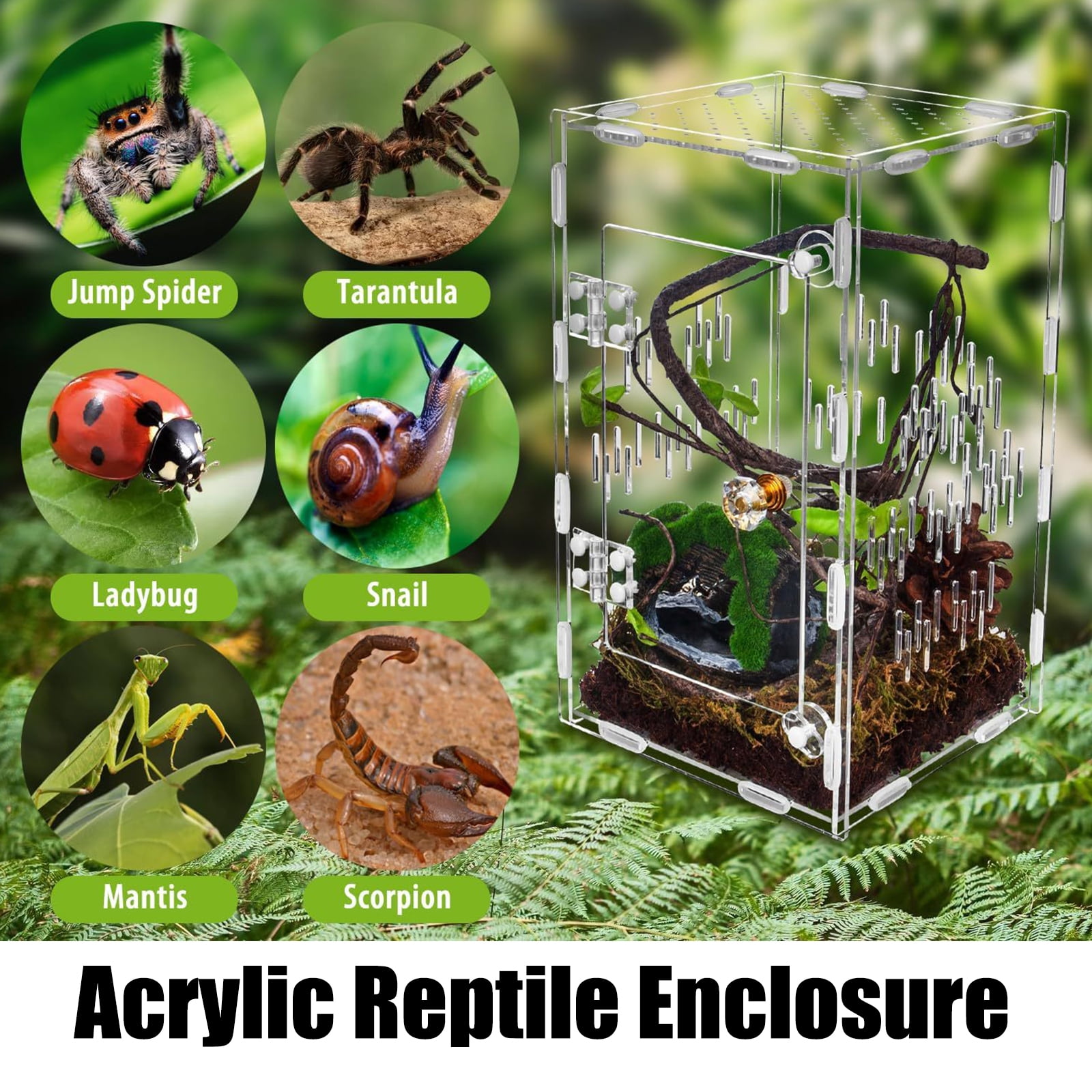 Acrylic Reptiles Enclosure House with Impacts Resistant Full Visual and AirflowS for Health Pet Habitats Terrariums
