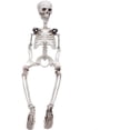 thumbnail image 3 of Esqueleto de Halloween Zhivalor Cuerpo completo Modelo de esqueleto con articulaciones móviles 90 cm, 3 of 5