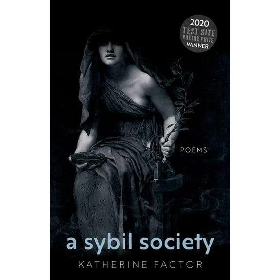 Test Site Poetry Series: A Sybil Society : Poems (Paperback)