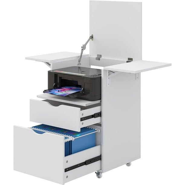 2 Drawer File on Wheels, Rolling File with Desk