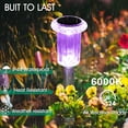 thumbnail image 3 of PUCACHI Solar Lights Outdoor Waterproof , 10-Pack Garden Lights, Decorative Lights for Yard Garden Walkway Driveway, Colorful, 3 of 7