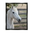 thumbnail image 2 of Stupell Industries Elegant White Spotted Horse Rural Country Farm Photograph Luster Gray Floating Framed Canvas Print Wall Art, Design by Daphne Polselli, 2 of 5