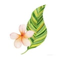 thumbnail image 2 of McKenna, Kathleen Parr 15x15 White Modern Wood Framed Museum Art Print Titled - Treasures of the Tropics X, 2 of 4